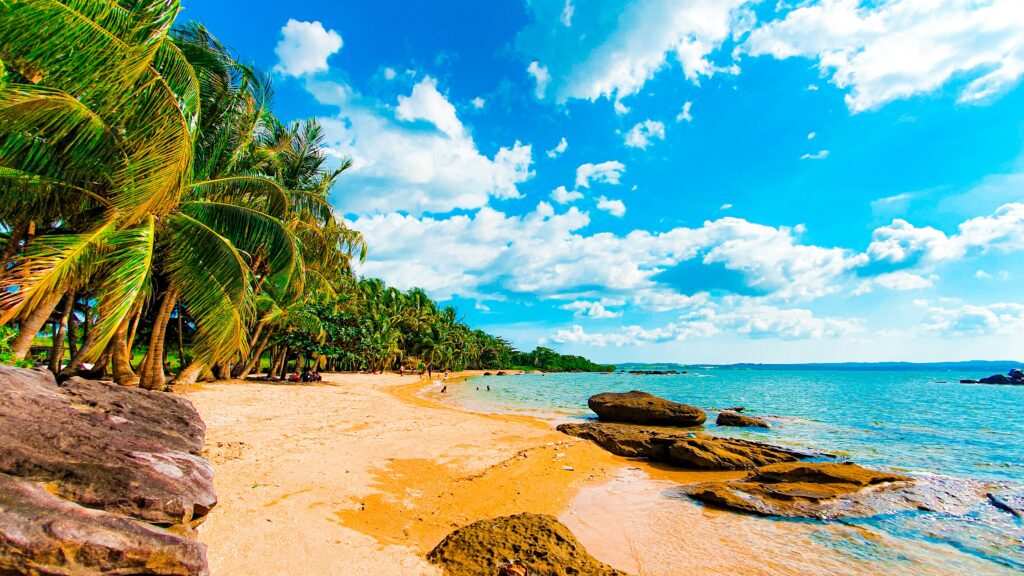 tropical beach 