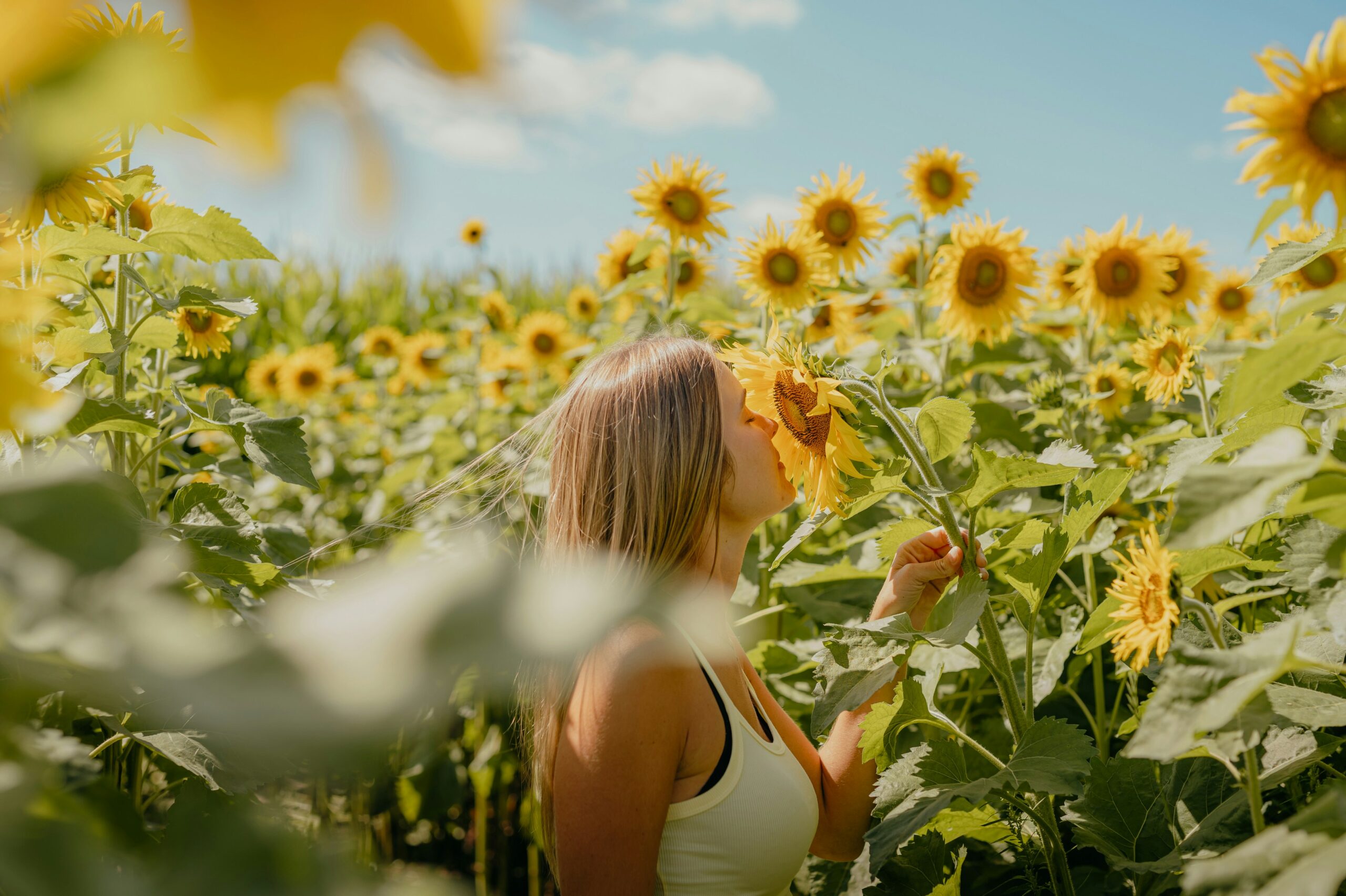 hay fever tablets