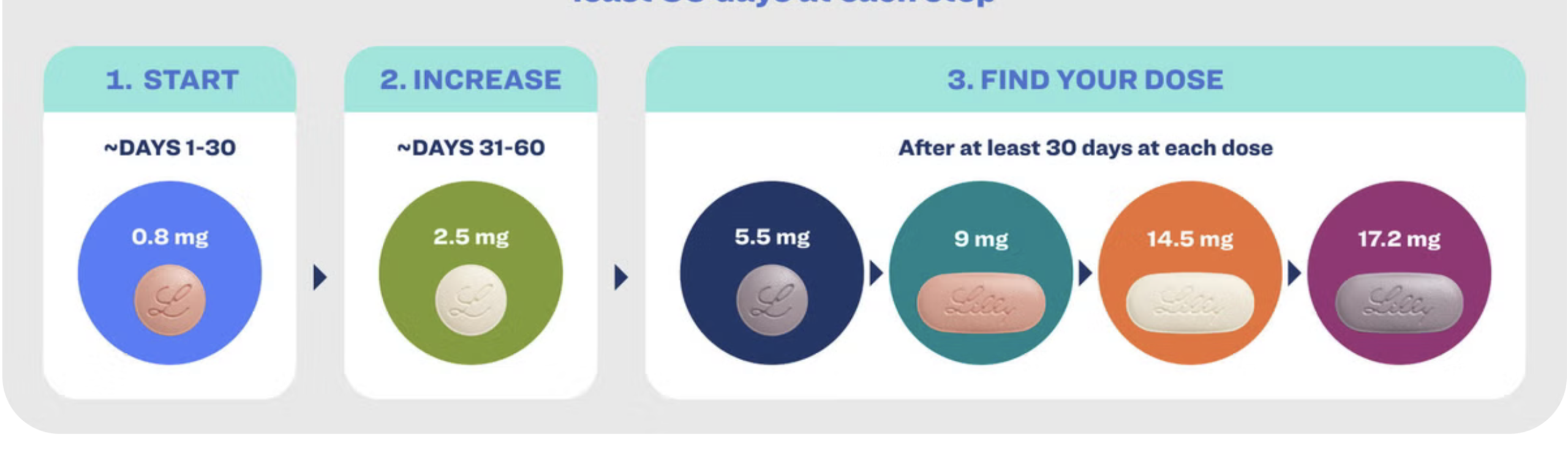 Orforglipron Dosing Schedule